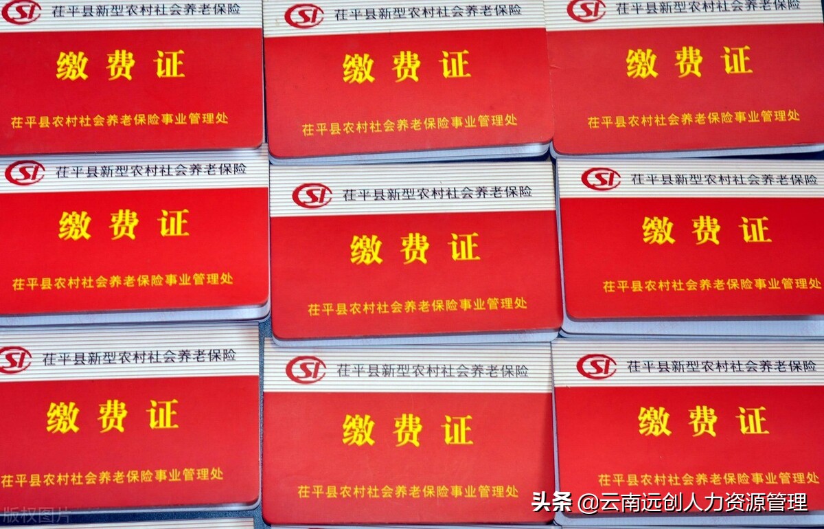 新型农村养老保险缴费，退休养老政策