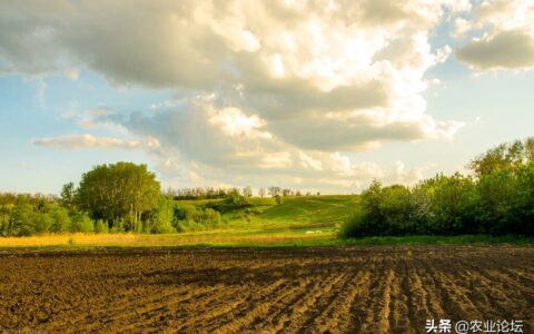 土地流转合同范本及农村土地承包合同了解