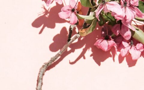 法定哺乳假怎么规定的及哺乳假相关法律