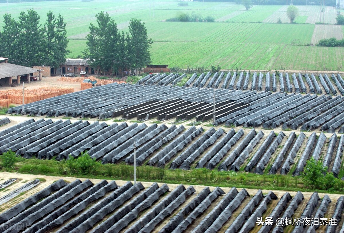 农村土地承包合同，或许你能用着