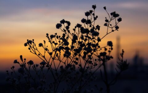 离婚诉讼怎么写模板及起诉离婚流程和费用