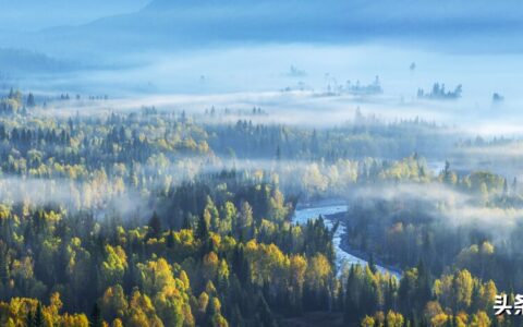 原告代理词模板及民事案件代理词范文