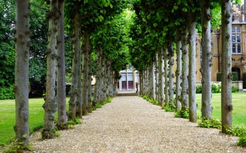 破产保护是什么意思及小公司破产清算流程