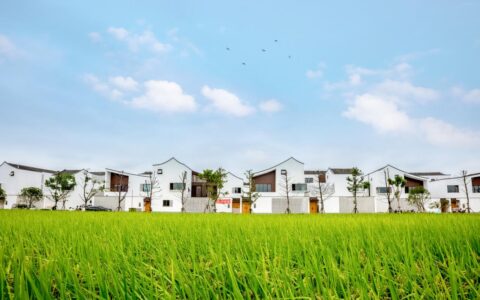 农村养老保险怎么买及新农保一次性补缴规定