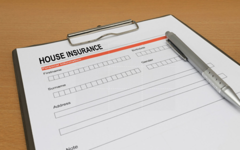 授权委托书样本及个人委托书通用模板