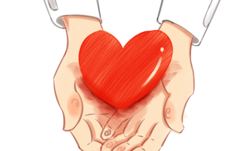 残疾人权益保障法及有关残疾人的合法权益讲解