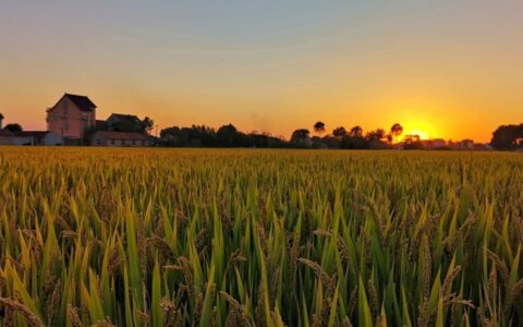 用益物权是什么意思及用益物权通俗解释