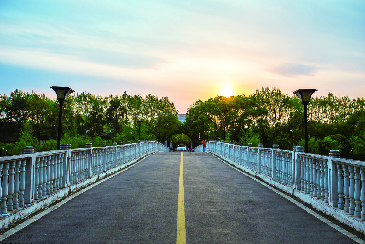 父亲酒驾导致学生政审不合格，对孩子影响大，限制考学，考公务员