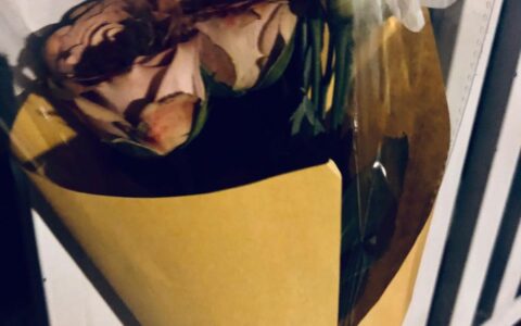 公司春节放假通知范文及公司节假日通知模板范文