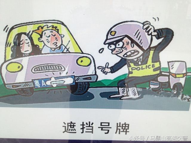 机动车号牌安装有什么规定
