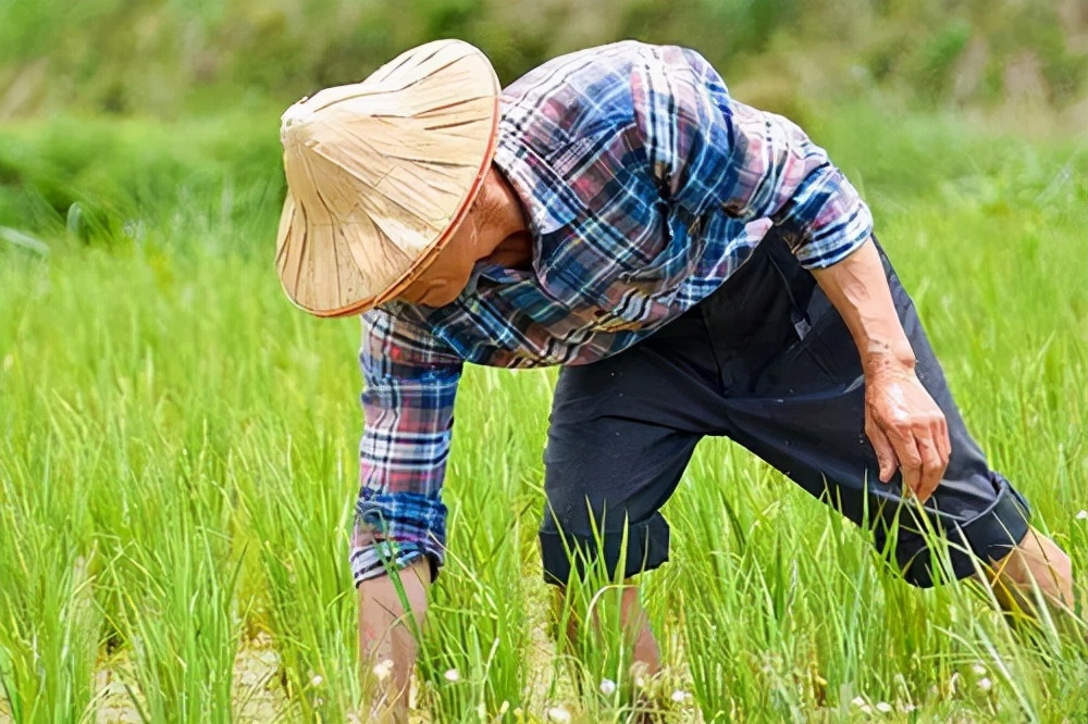 必须保障失地农民的社保安置！征地社保由谁来负责？
