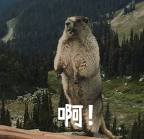 越线停车=闯红灯？答案来了！