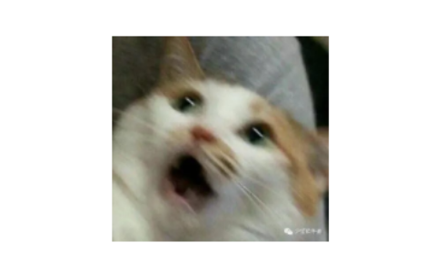 新广告法解读和案件分享及广告法释义及相关法律