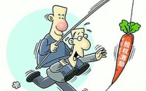 股权期权激励是什么意思及小公司内部股权激励方案