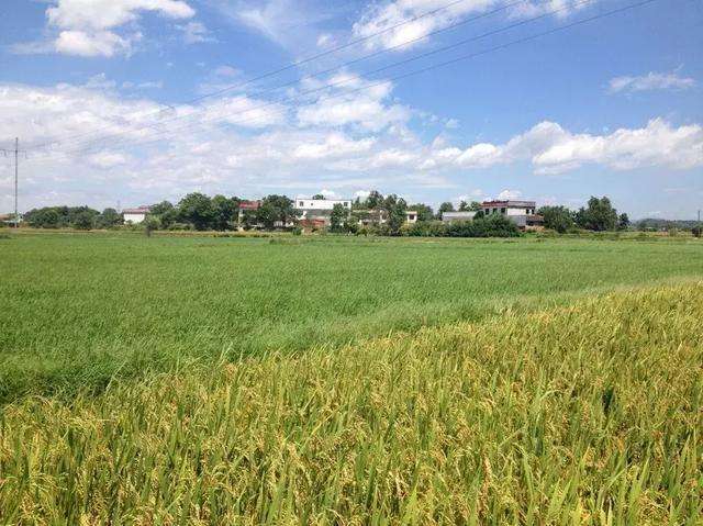 违法建筑拆除的六大程序，被拆迁户要知道