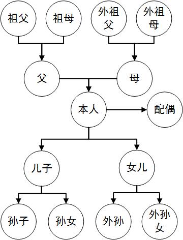 民法典中的亲属、近亲属及家庭成员范围：谁才是你的“真”亲属