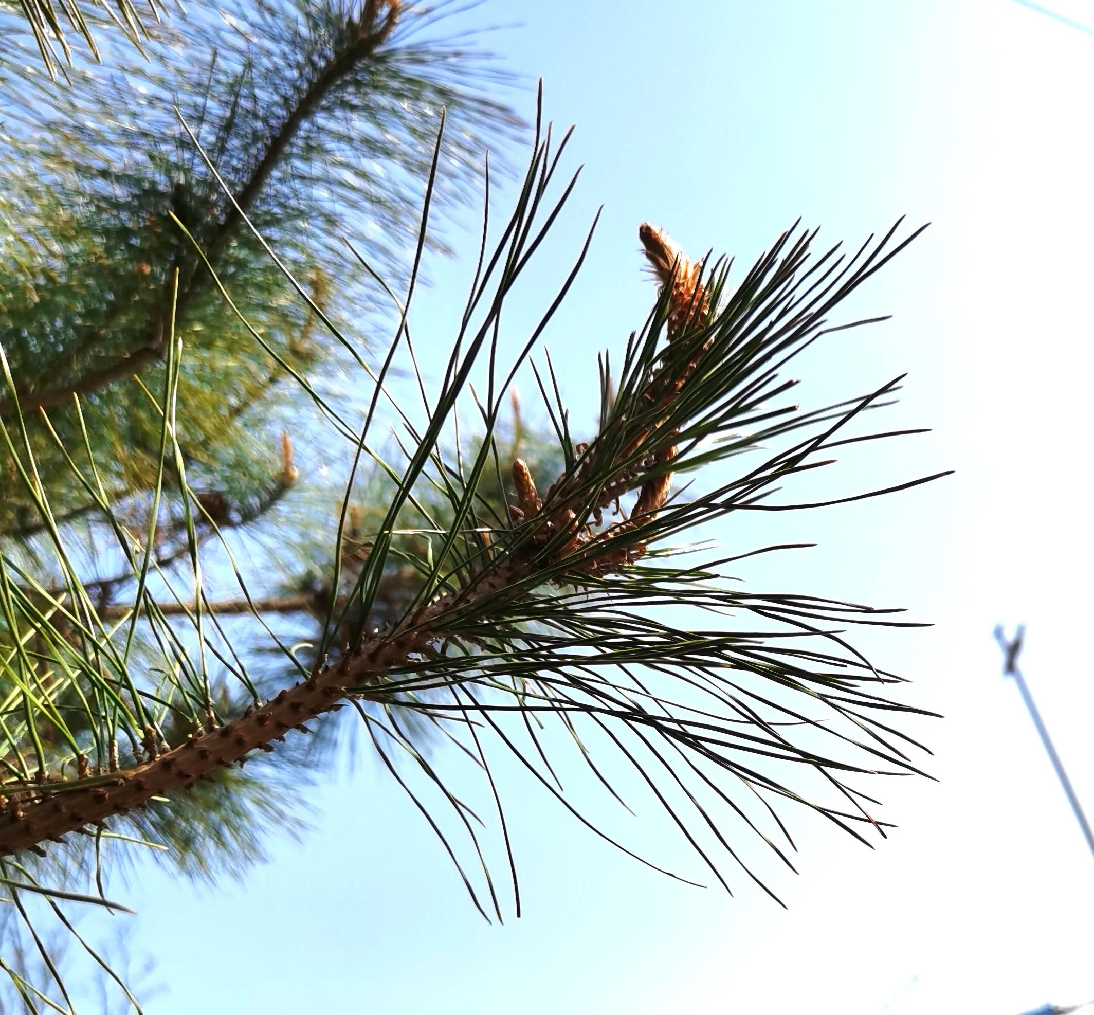 48ccb711cfa648acb92287e21b214d3d