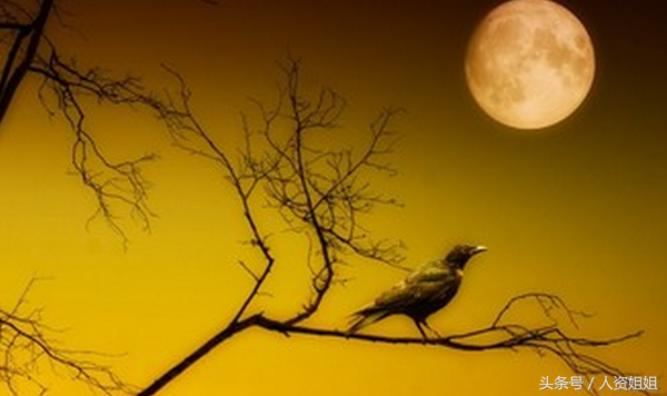 世上最蠢的离职方式，你犯过几种