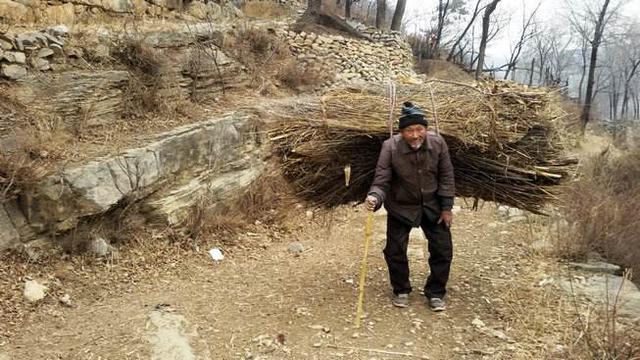 农村低保户和五保户对比，原来这么多年都没搞清楚哪个补助多！