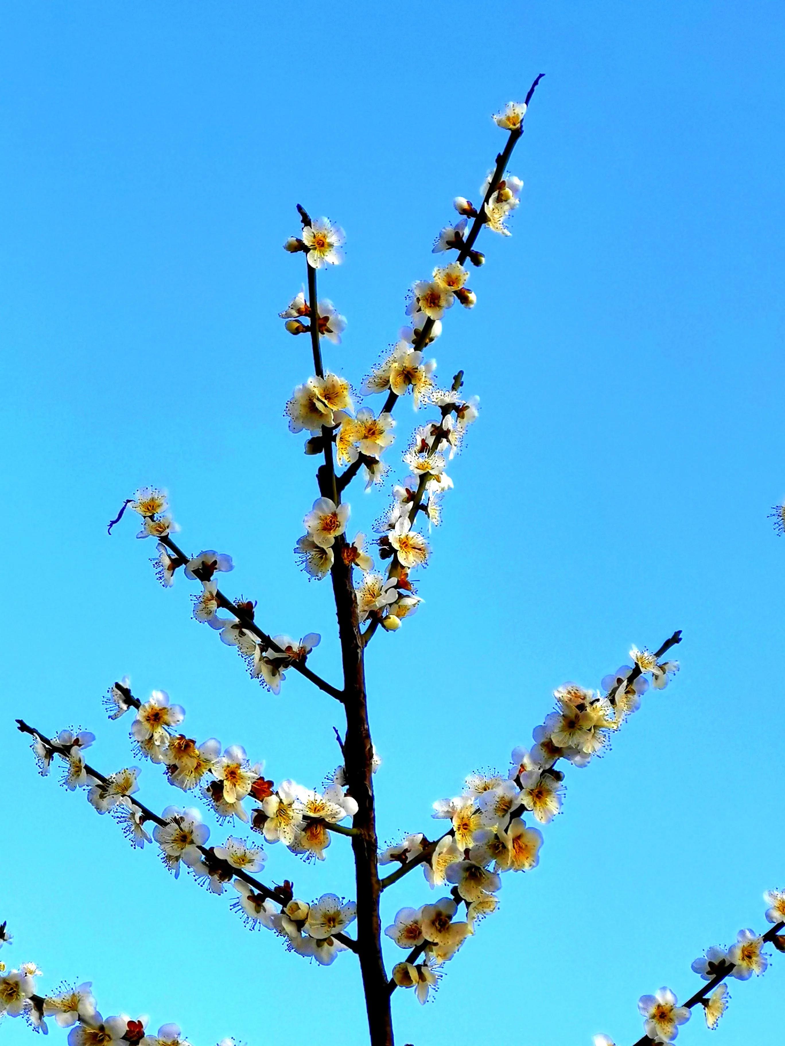 e5add9526671454a852f775aec457fae