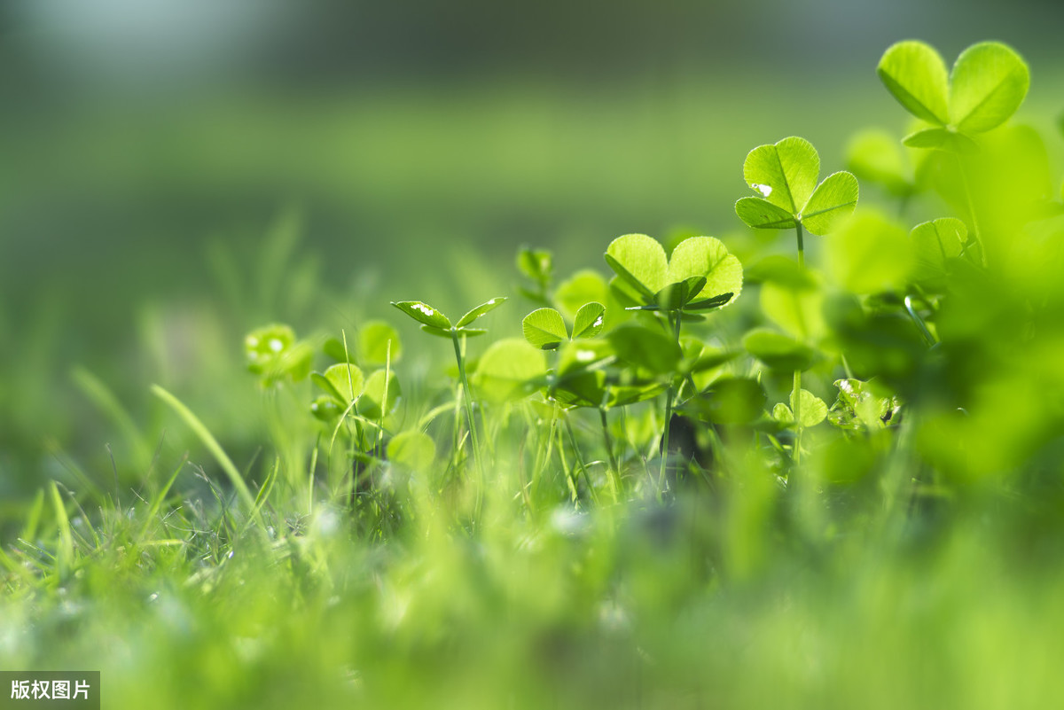 劳务派遣与人力资源外包的差异、开票税目及税率