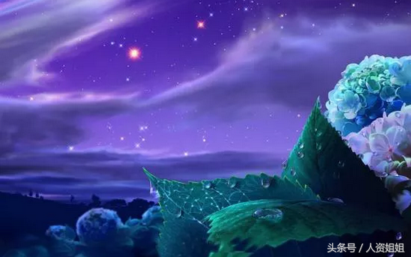 世上最蠢的离职方式，你犯过几种