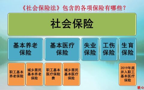 社会保险费包括哪些及社会保险费催缴通知书