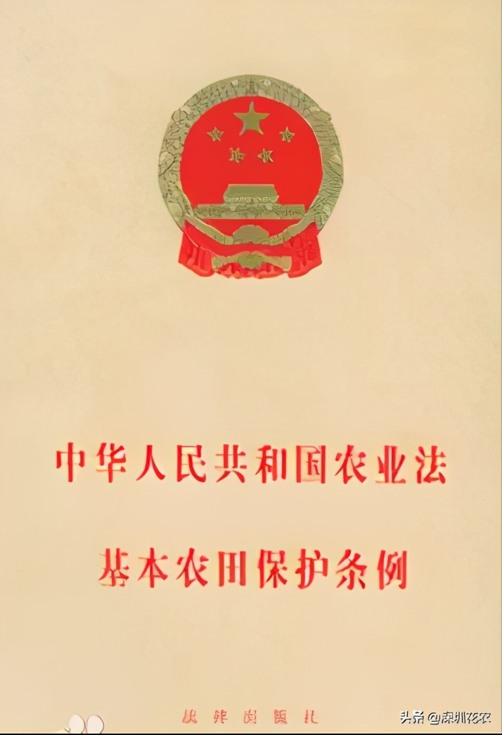 基本农田保护条例