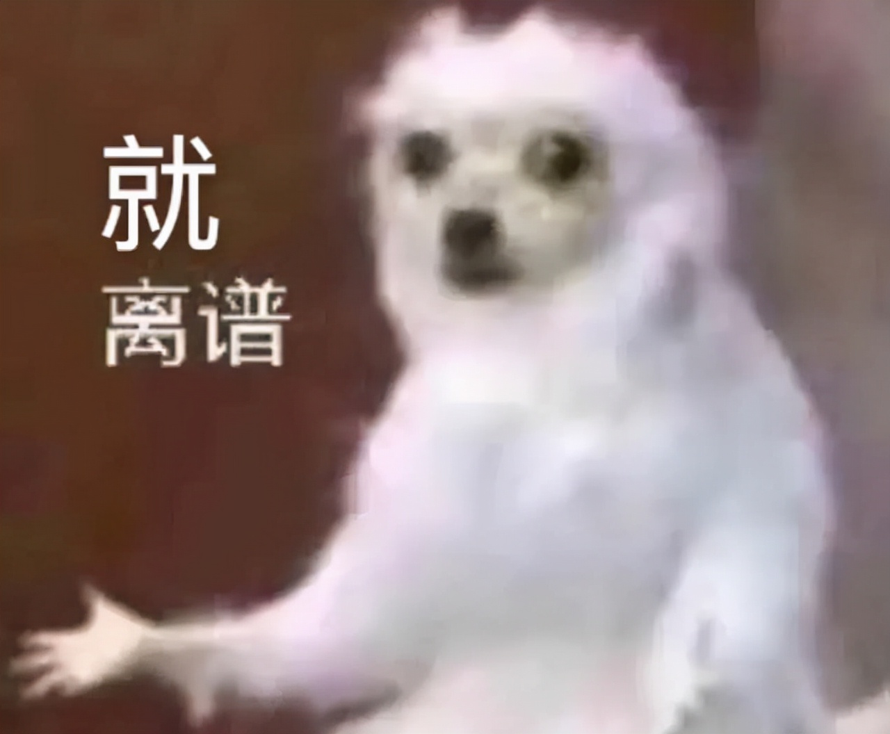 遇到不发工资条的公司，怎么办？我劝你看清了再去