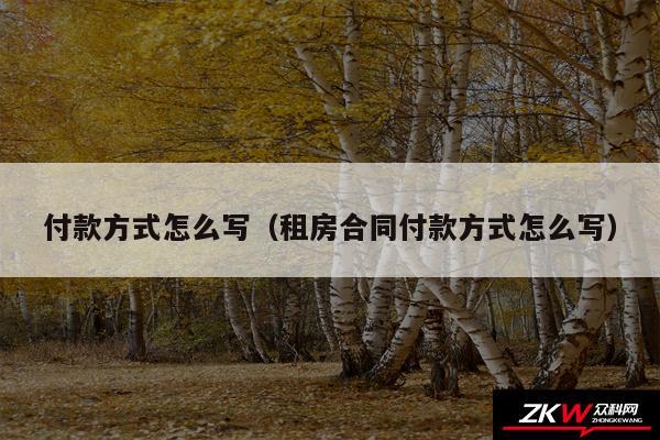 付款方式怎么写以及租房合同付款方式怎么写