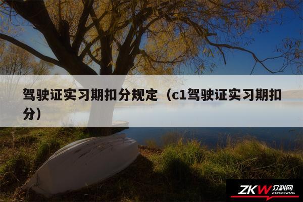 驾驶证实习期扣分规定以及c1驾驶证实习期扣分