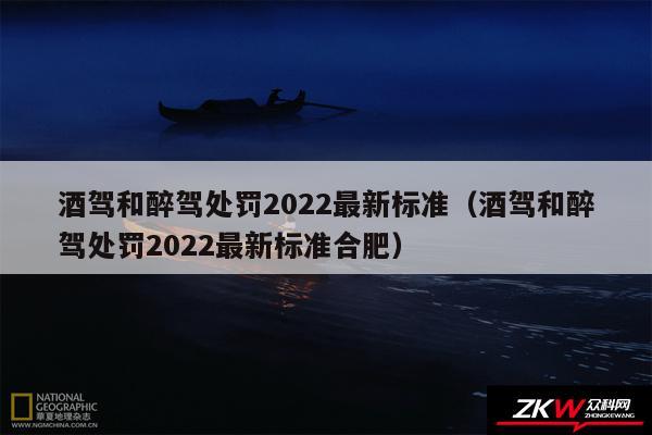 酒驾和醉驾处罚2024最新标准以及酒驾和醉驾处罚2024最新标准合肥