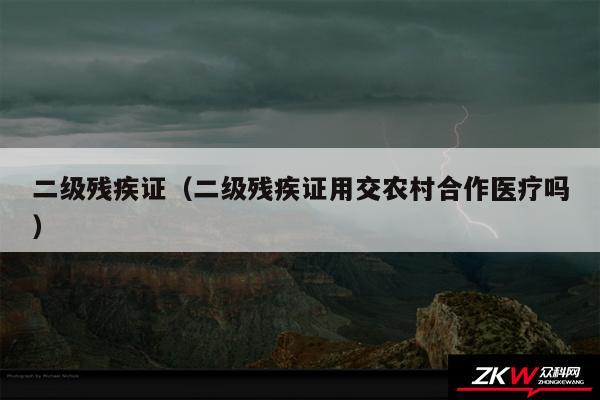 二级残疾证以及二级残疾证用交农村合作医疗吗