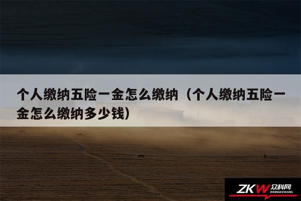 个人缴纳五险一金怎么缴纳以及个人缴纳五险一金怎么缴纳多少钱