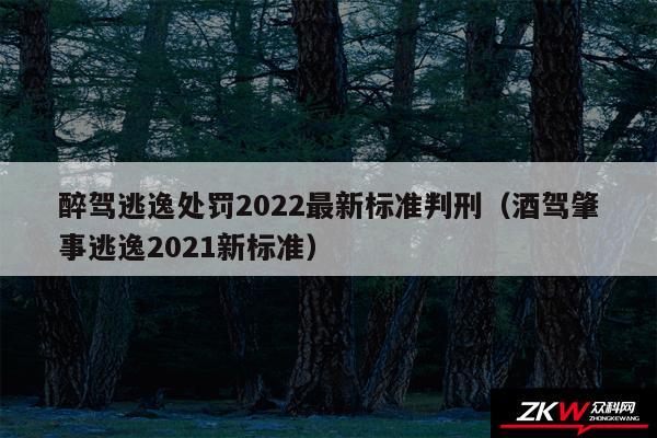 醉驾逃逸处罚2024最新标准判刑以及酒驾肇事逃逸2024新标准