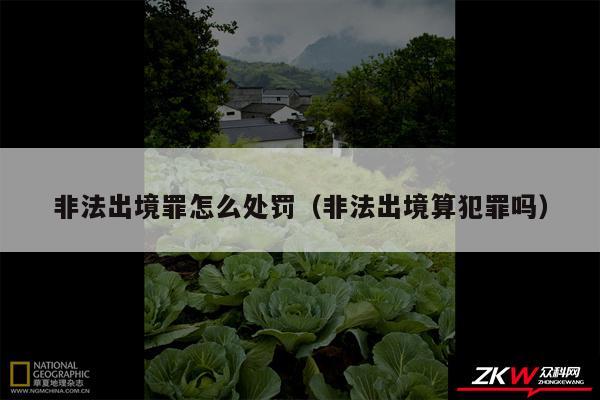 非法出境罪怎么处罚以及非法出境算犯罪吗