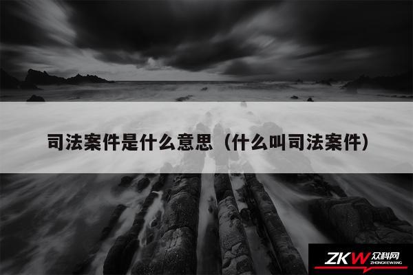 司法案件是什么意思以及什么叫司法案件