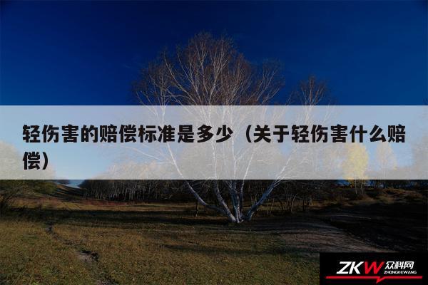 轻伤害的赔偿标准是多少以及关于轻伤害什么赔偿