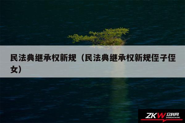 民法典继承权新规以及民法典继承权新规侄子侄女