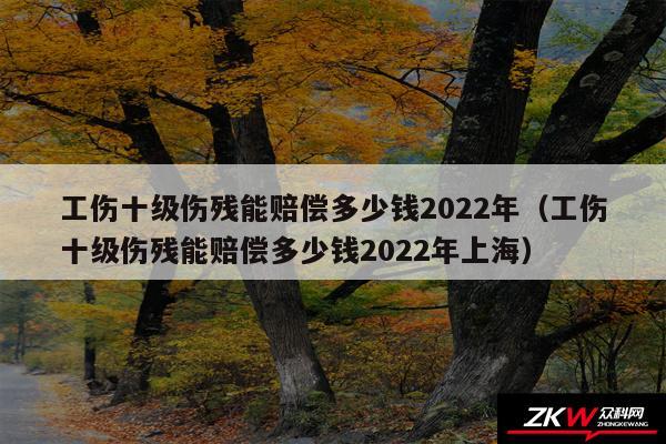工伤十级伤残能赔偿多少钱2024年以及工伤十级伤残能赔偿多少钱2024年上海