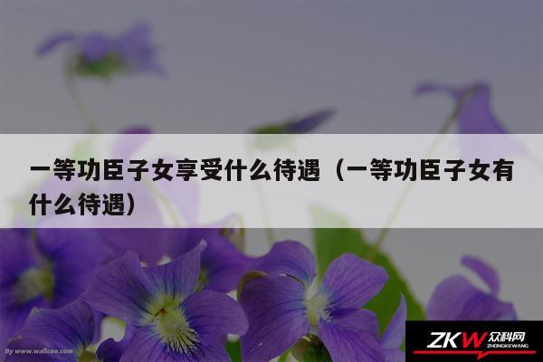 一等功臣子女享受什么待遇以及一等功臣子女有什么待遇