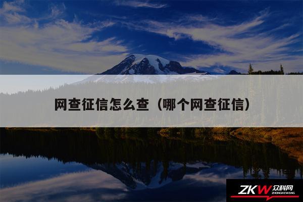 网查征信怎么查以及哪个网查征信