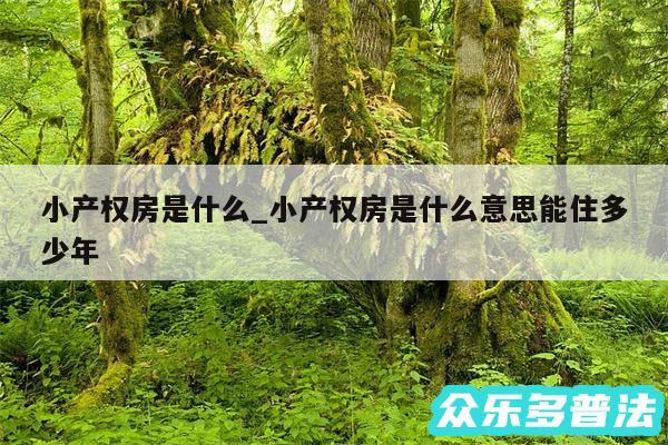 小产权房是什么_小产权房是什么意思能住多少年