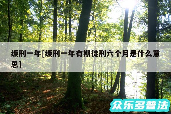 缓刑一年及缓刑一年有期徒刑六个月是什么意思