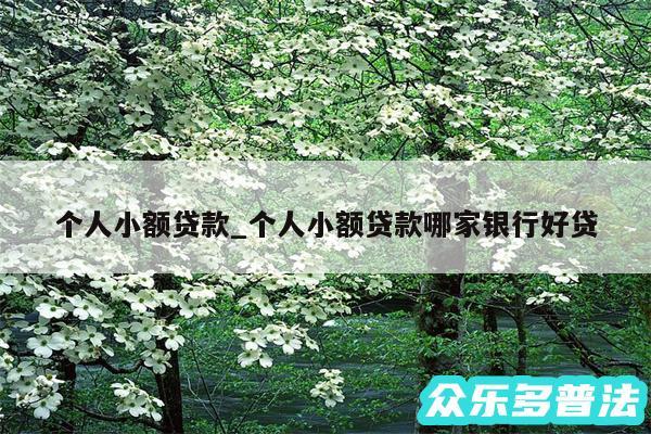 个人小额贷款_个人小额贷款哪家银行好贷