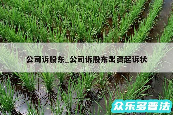 公司诉股东_公司诉股东出资起诉状