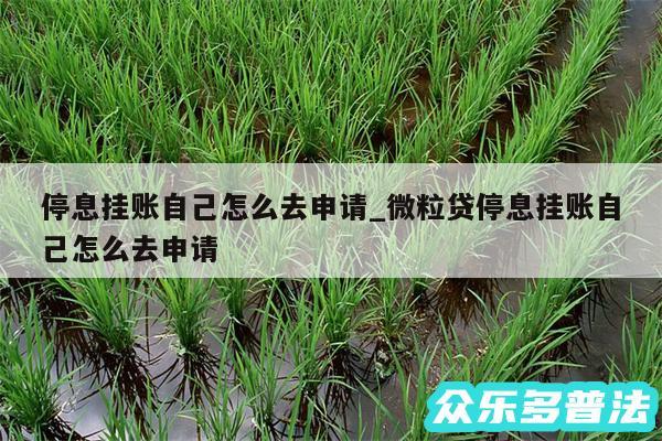 停息挂账自己怎么去申请_微粒贷停息挂账自己怎么去申请