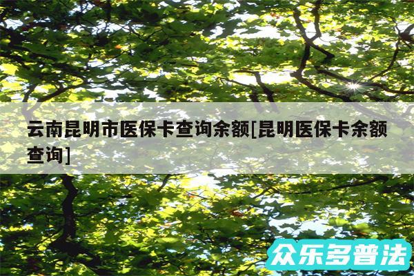 云南昆明市医保卡查询余额及昆明医保卡余额查询