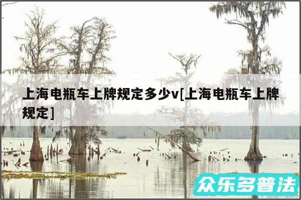 上海电瓶车上牌规定多少v及上海电瓶车上牌规定