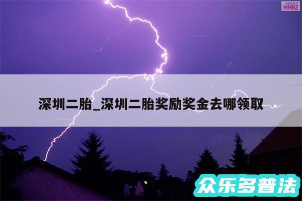 深圳二胎_深圳二胎奖励奖金去哪领取